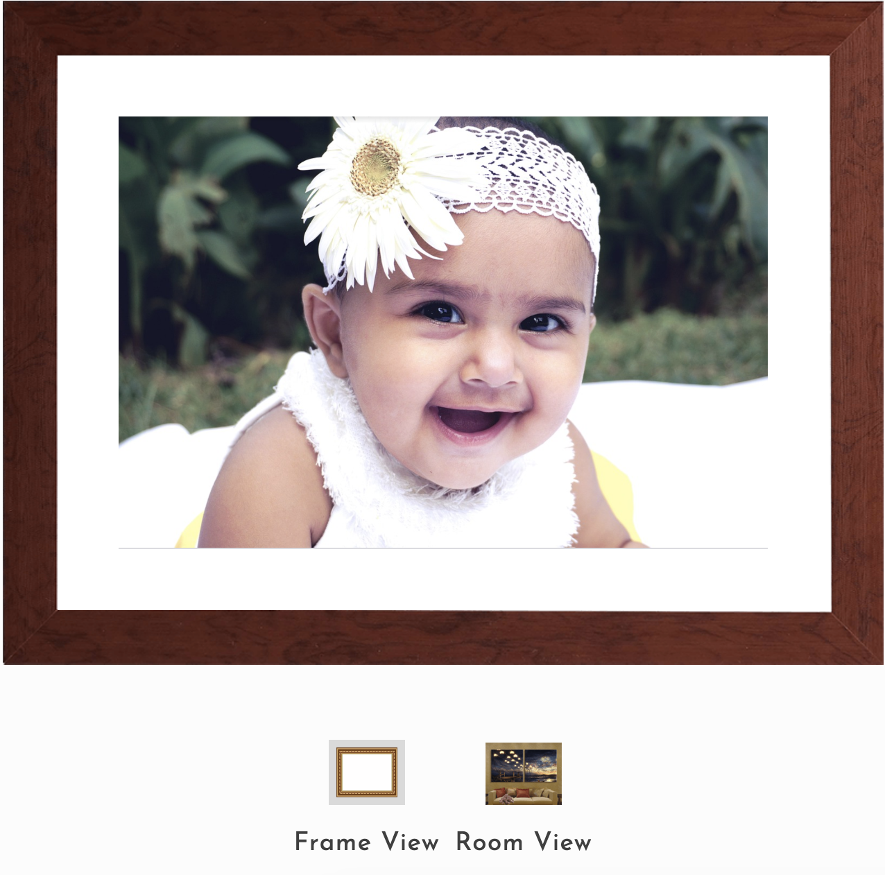 LIVEVUE Feature Pricing LIVEARf