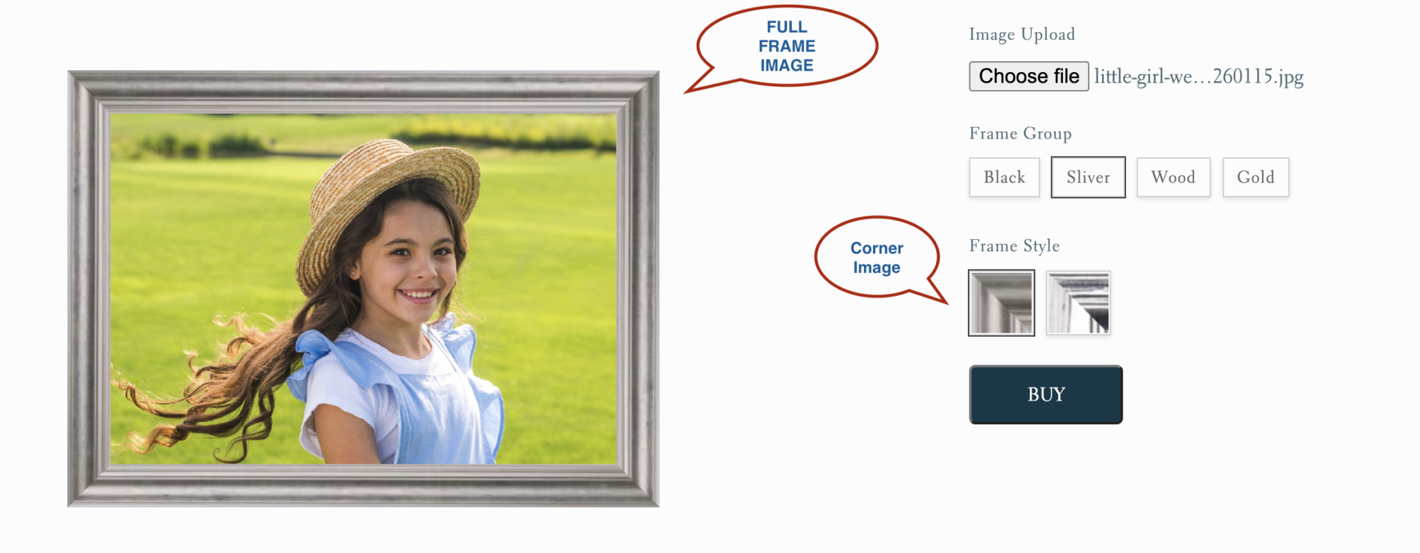 Frame Generator LIVEARf